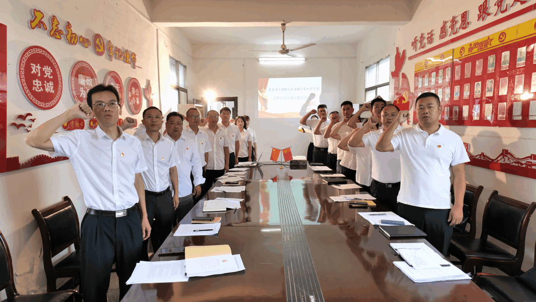 陽新縣宏發(fā)建筑公司聯(lián)合木港鎮(zhèn)下彭村 開展主題黨日活動